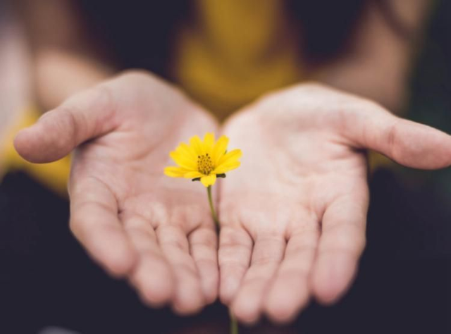 Abonnement annuelle "Patient.e/ proche aidant.e