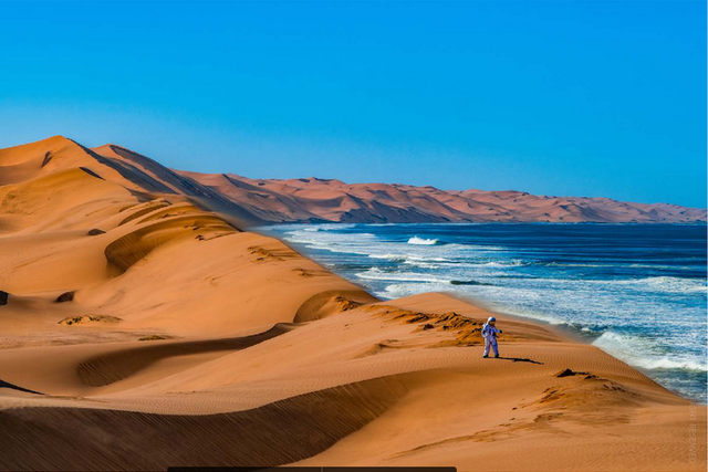 The Namib by the Sea 90x60