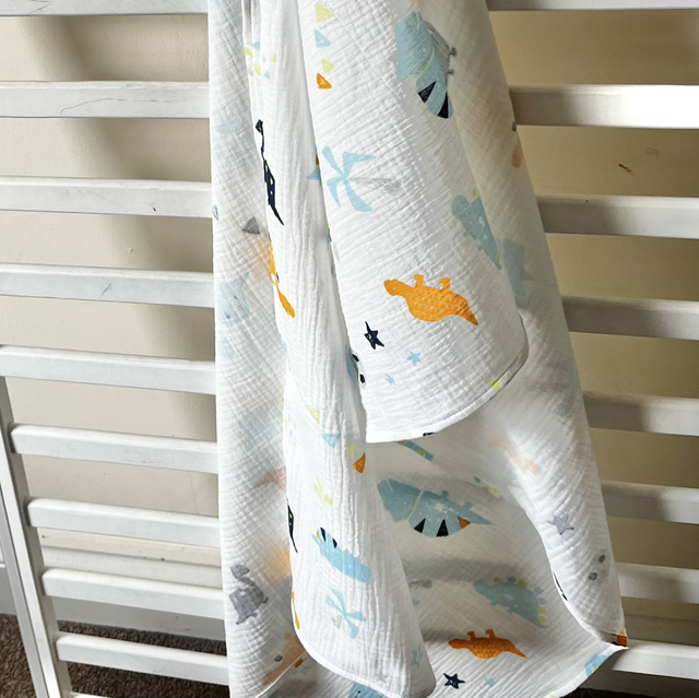 Muslins | Large Size | Dinosaurs