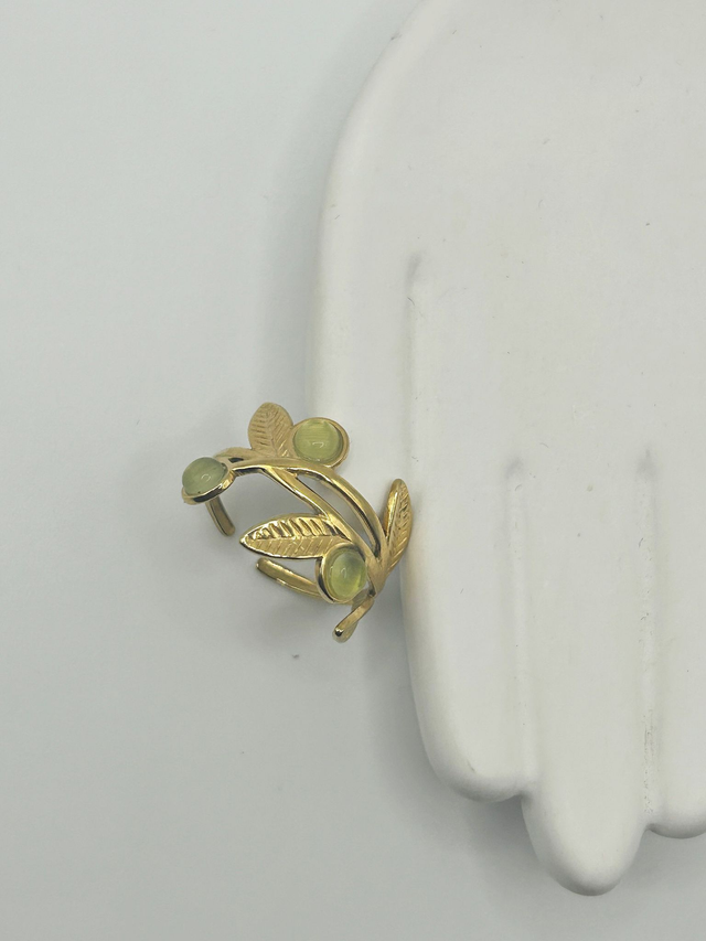 Stainless Steel Ring (SSR80J)