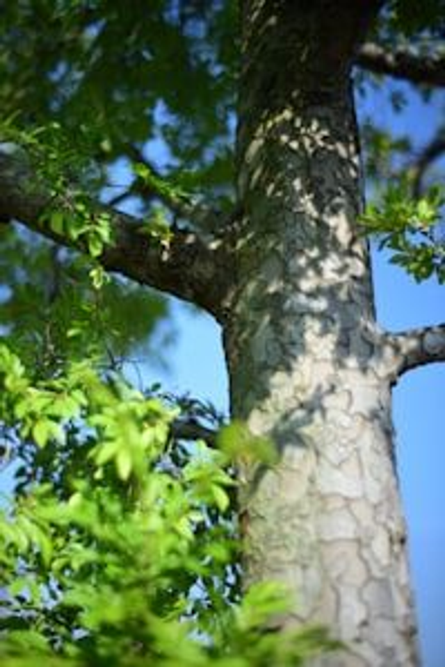 Séance de sophrologie 
