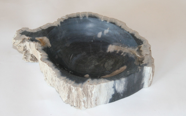 Versteinerte Holzschale