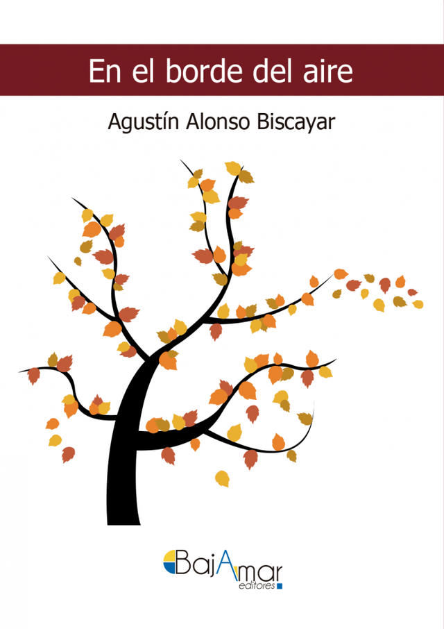 LIBRO EN EL BORDEDEL AIRE DE AGUSTÍN ALONSO BISCAYAR-BAJAMAR EDITORES-
