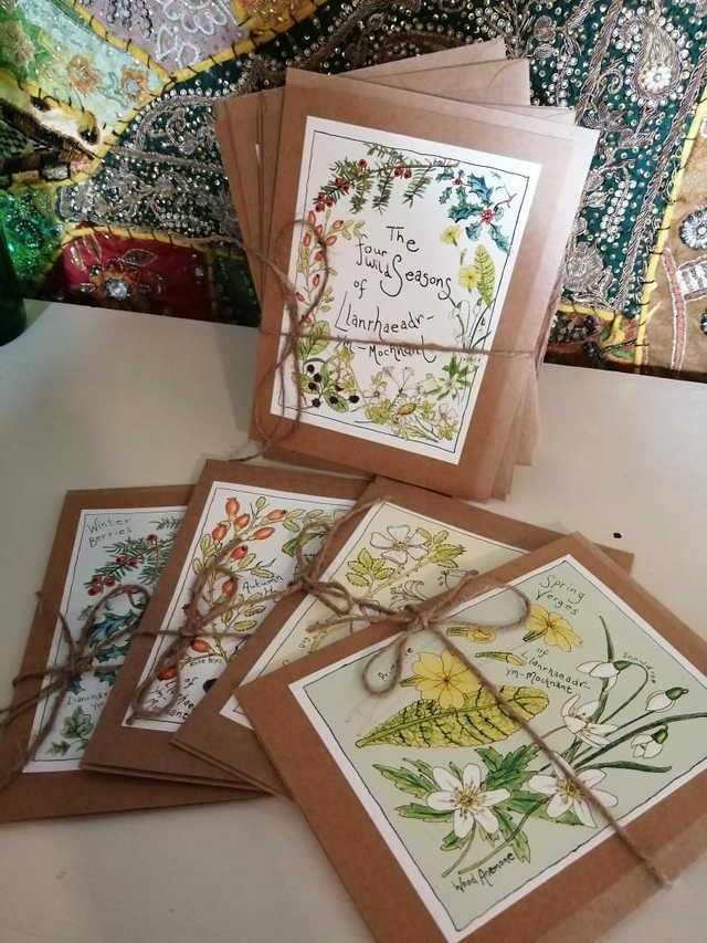 Four Wild Seasons 5 Greetings Card Selection Pack 