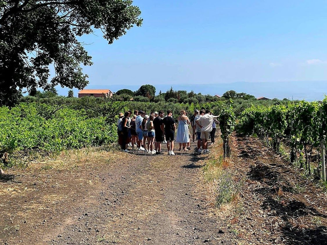 1 - ETNA WINE EXPERIENCE