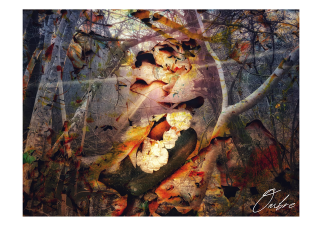 Naissance d&#039;un sorcier