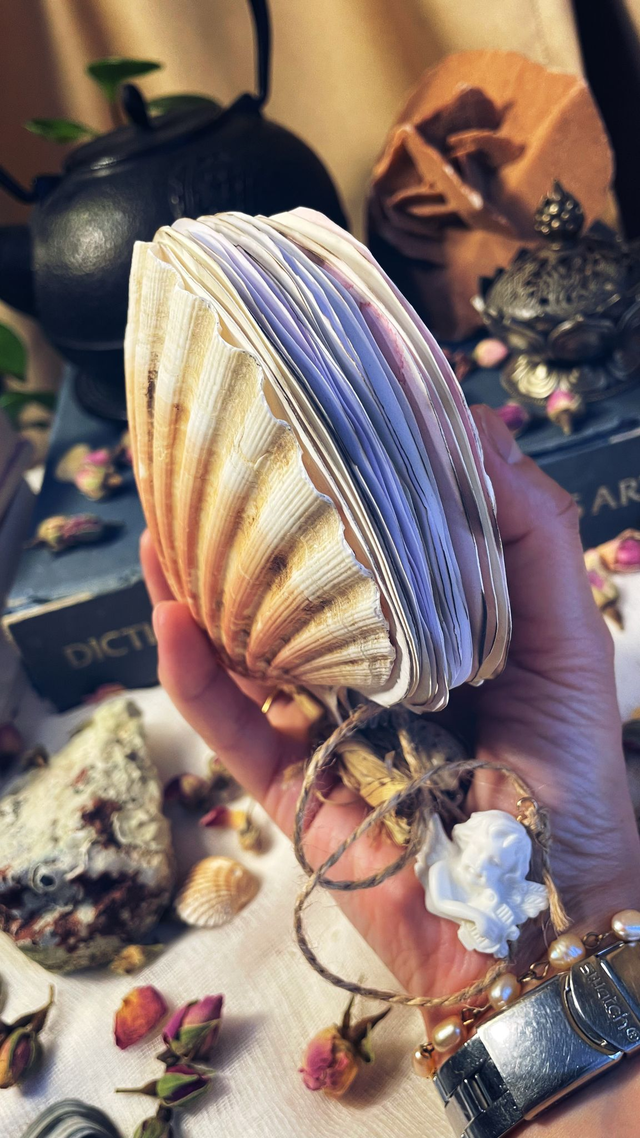 Shell Book journal