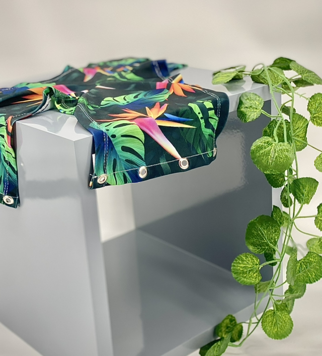 Fruit Short Banana Caramel Tropical