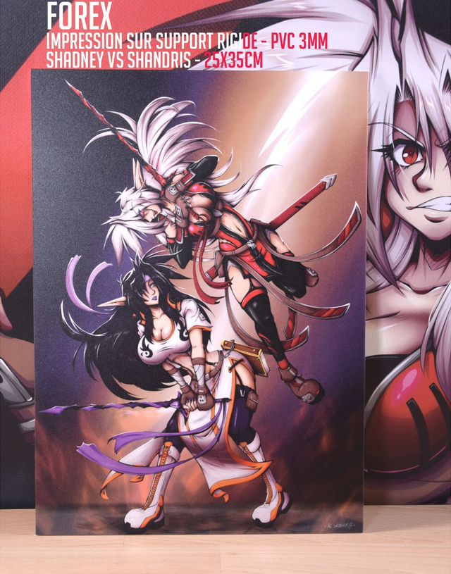 Forex Shandris VS Shadney