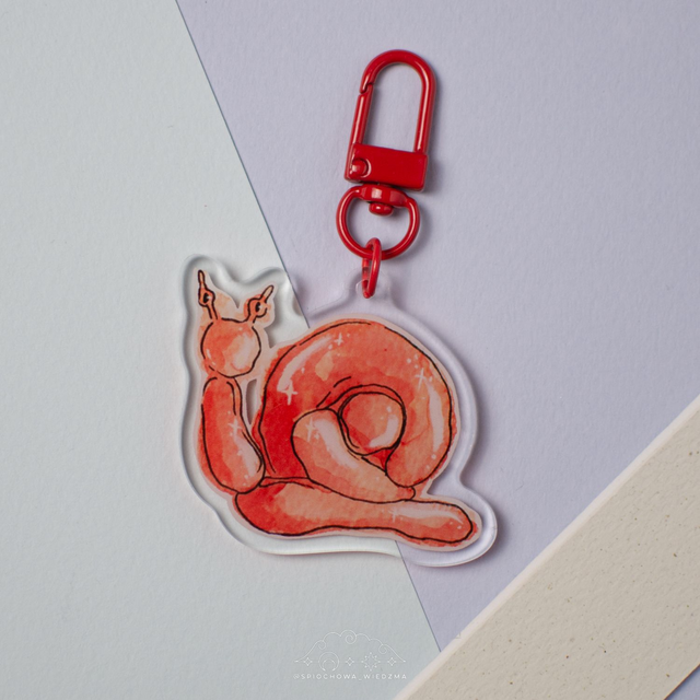 Balonowy ślimak | ZWIERZĘTA