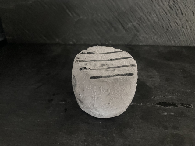 Crottin cendré de chèvre