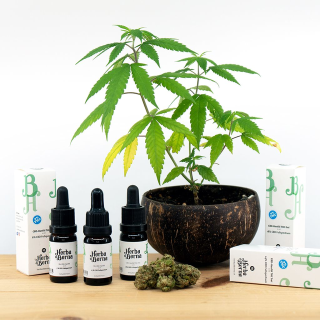 CBD Hanföl 12%