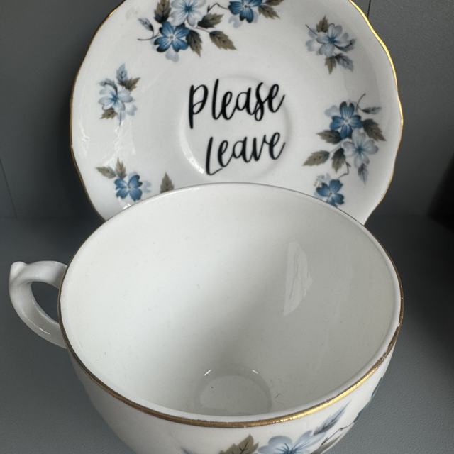 Please Leave - Blue