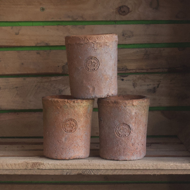 Aged Terracotta Kew Cylinder Pot 