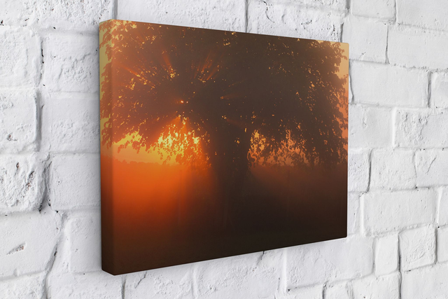"The Tree of Light" Canvas 