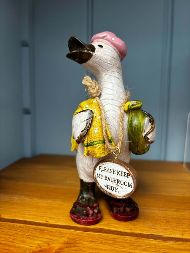Quirky Resin Duck Ornament with Funny Wooden Sign | Novelty Bathroom & Home Gift