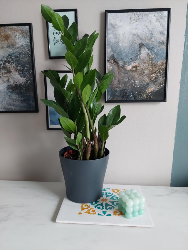 Laatta, käsinmaalattu, 25x20cm, okra-sinivihreä