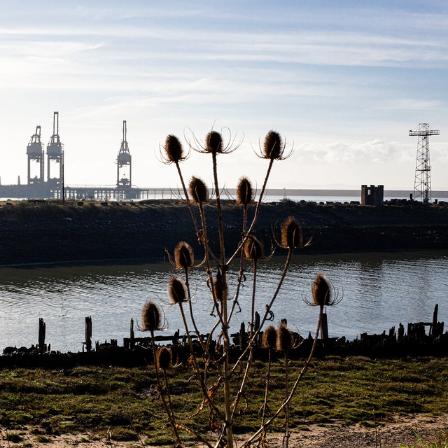 Rising above the tide