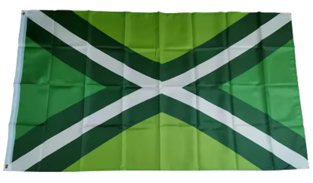 Grote vlag Achterhoek (150x90cm)