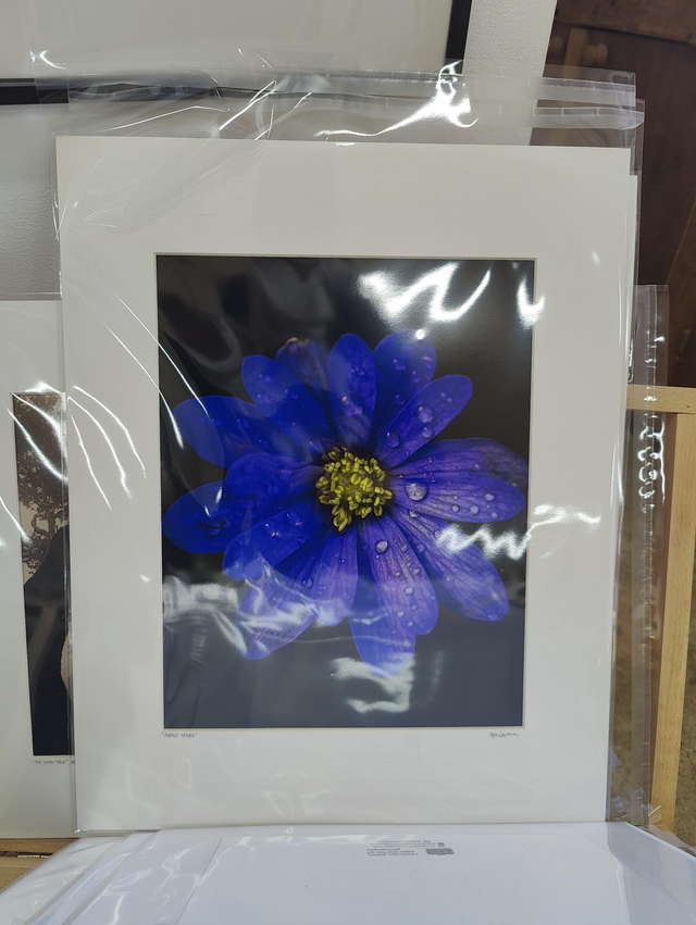 20x16 Print (mounted) 