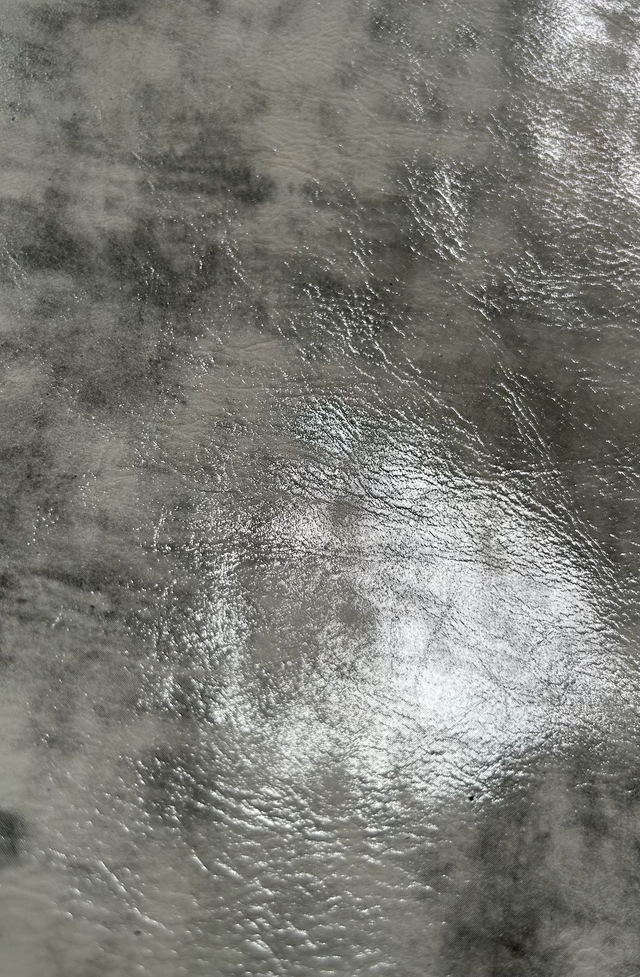 Chute de cuir argenté (chut8)