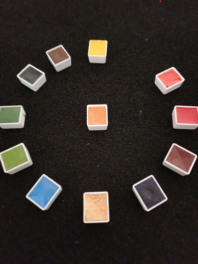 Demi-godet calendula