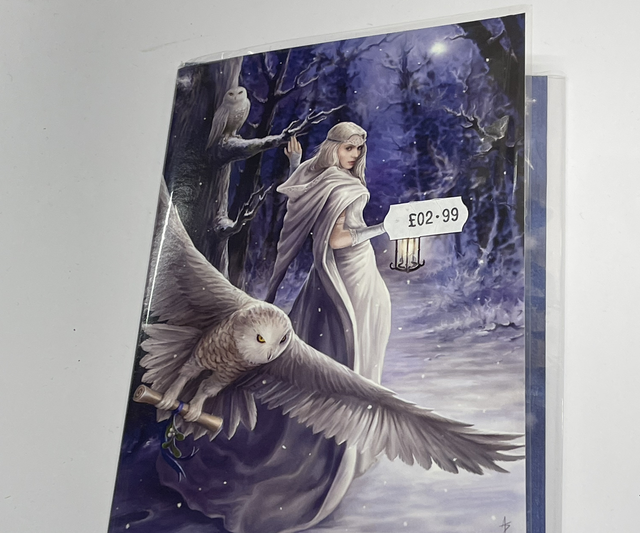 Anne stokes Greetings Card - Midnight Messenger 