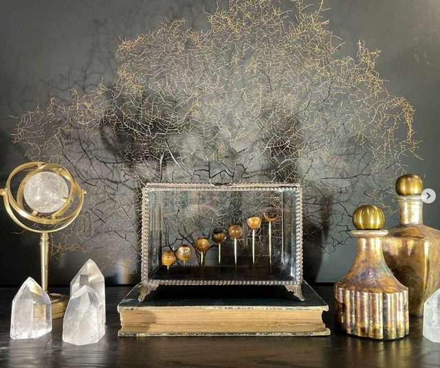 Évolution de 7 mille-pattes 