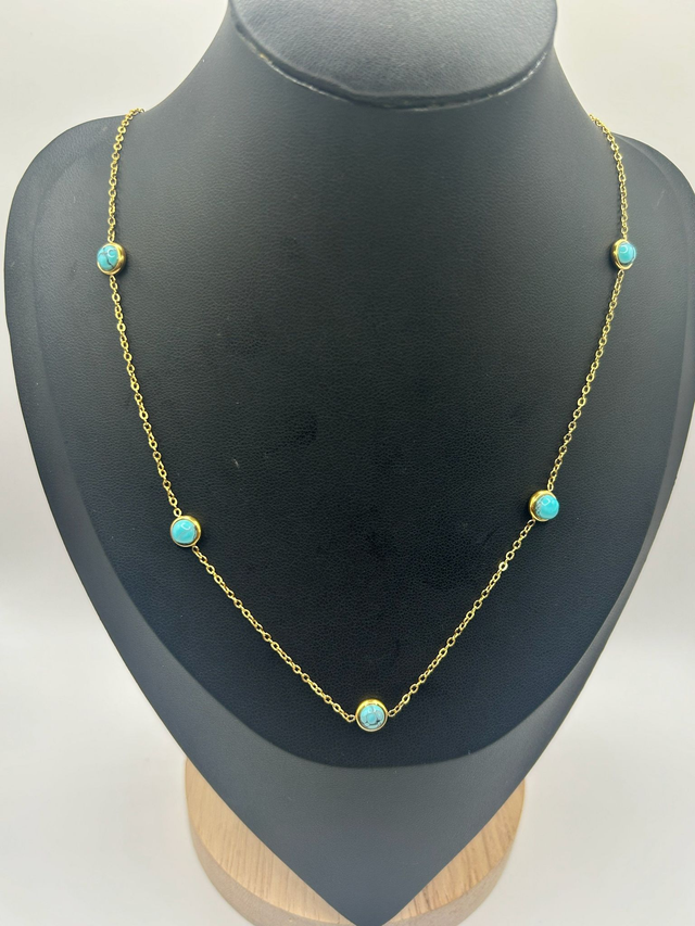 Stainless Steel Necklace (SSN21J)