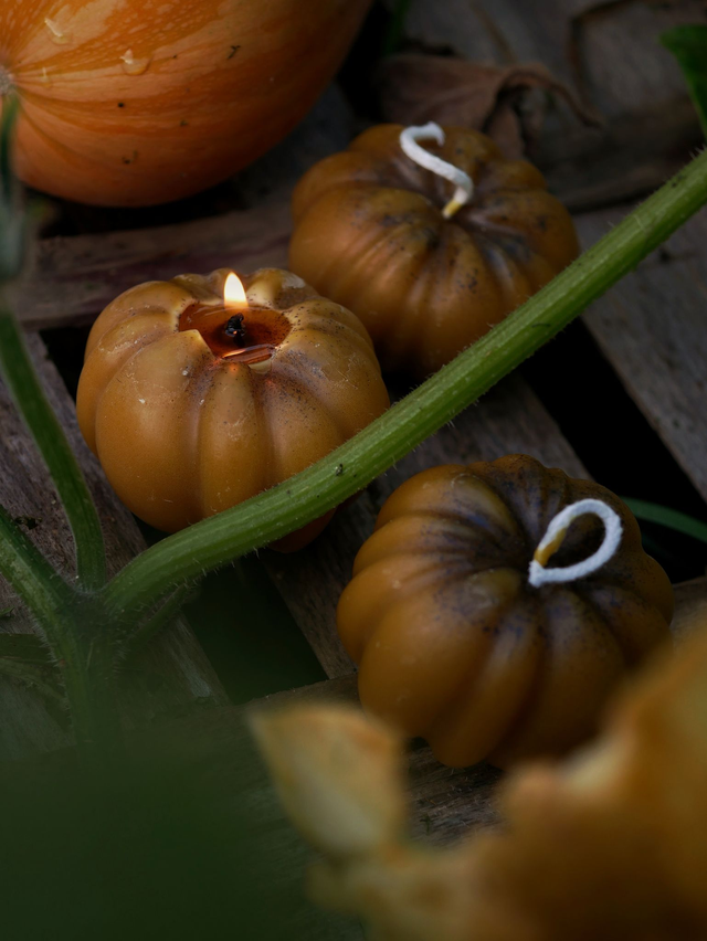 Bougie CITROUILLE