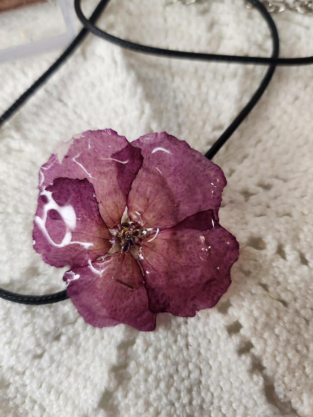 Collier coquelourde séchée résine 