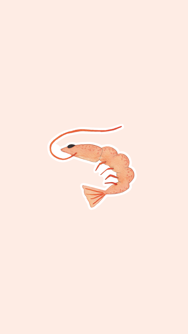 Sticker Crevette – Collection “Cocktails & coups de soleil” – Illustration aquarelle