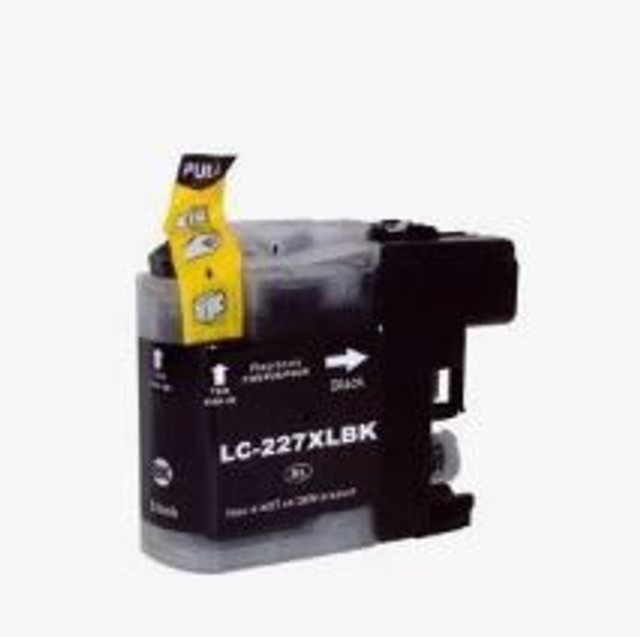 Lc227 Black Brother BCBB000120