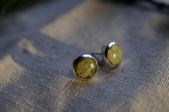 Clous d'oreilles - Sauge