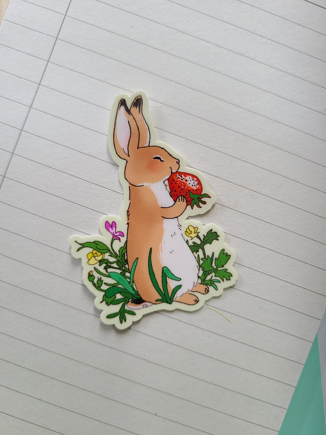 Bunny and strawberry 🍓