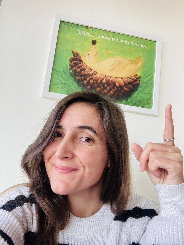 Pósteres De Ilustrações