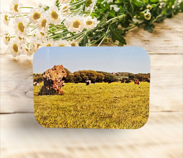 Magnet  - Stanton Drew Stones & cows