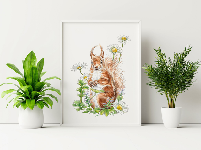 Daisies &amp; Red Squirrel Print - After an Original Ink and Watercolour Illustration
