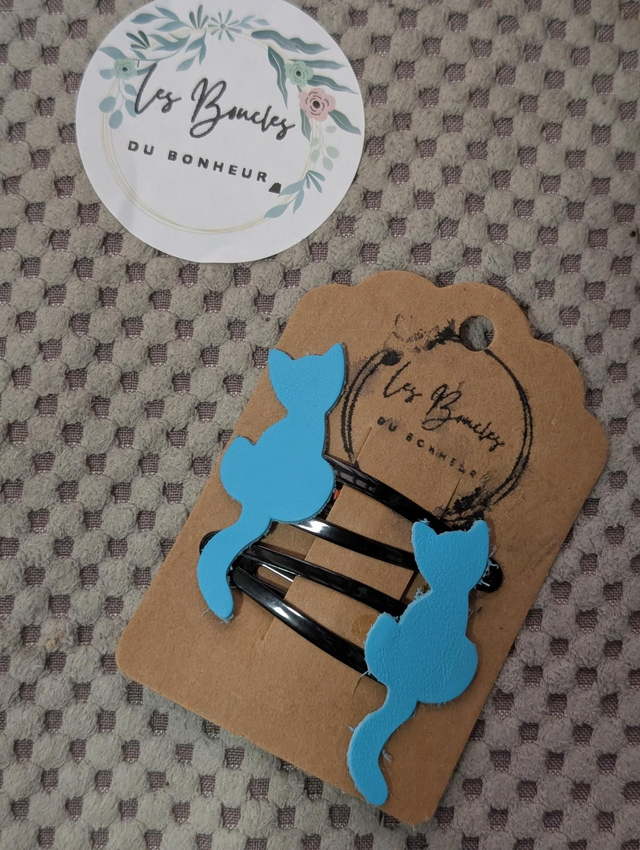 Barrette b003