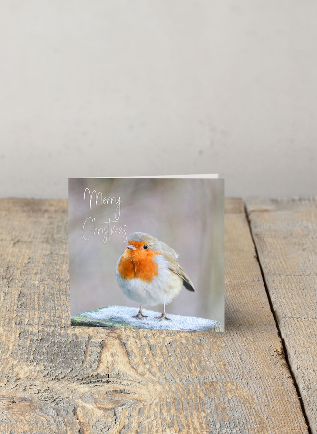 "Frosty Toes" Christmas Card 