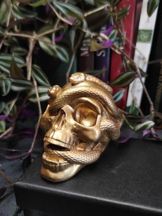 Crâne &quot;Mue éternel&quot; – Version Dorée