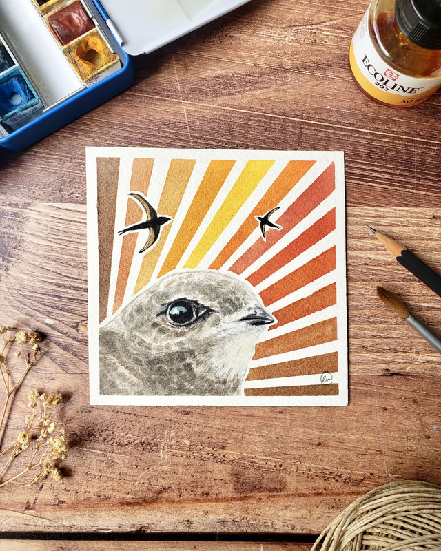 Aquarelle originale - Martinet noir