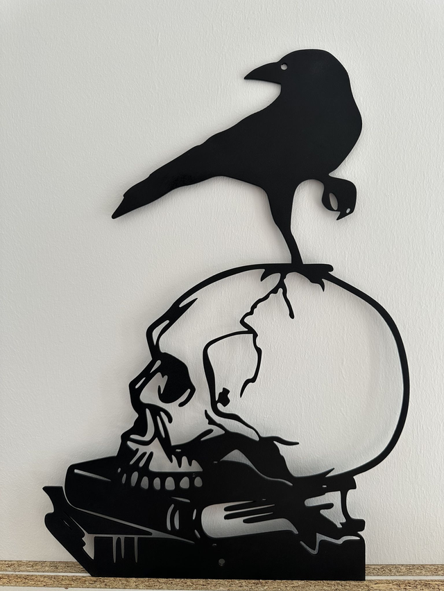 Crâne corbeau