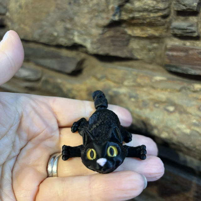 3d printed mini cat