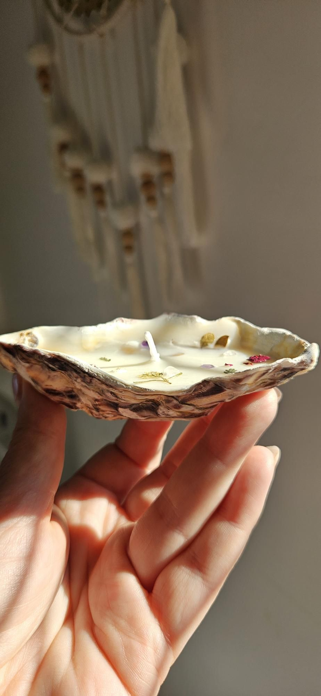 Eucalyptus &amp; Lavender Seashell Candle