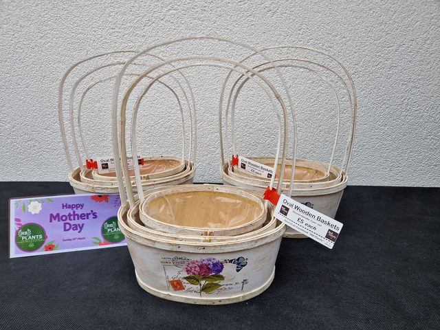 MOTHERS DAY GIFT - Oval Wooden Indoor Baskets with Handle - Set of 3