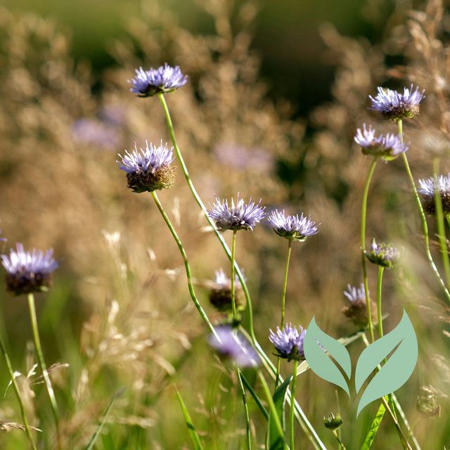Relâcher les tensions