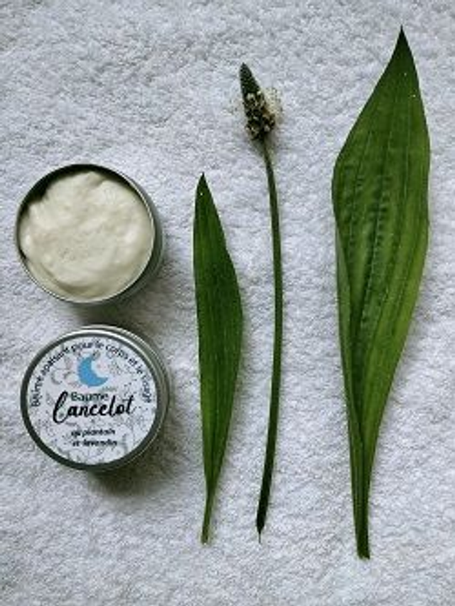 Baume Lancelot - pot 50ml