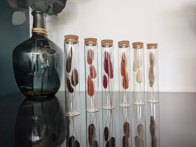 Fioles en verre (x6) - Potions fleuries d'automne 1