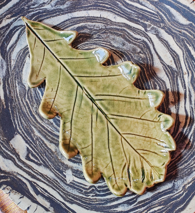 Feuille de chêne 1
